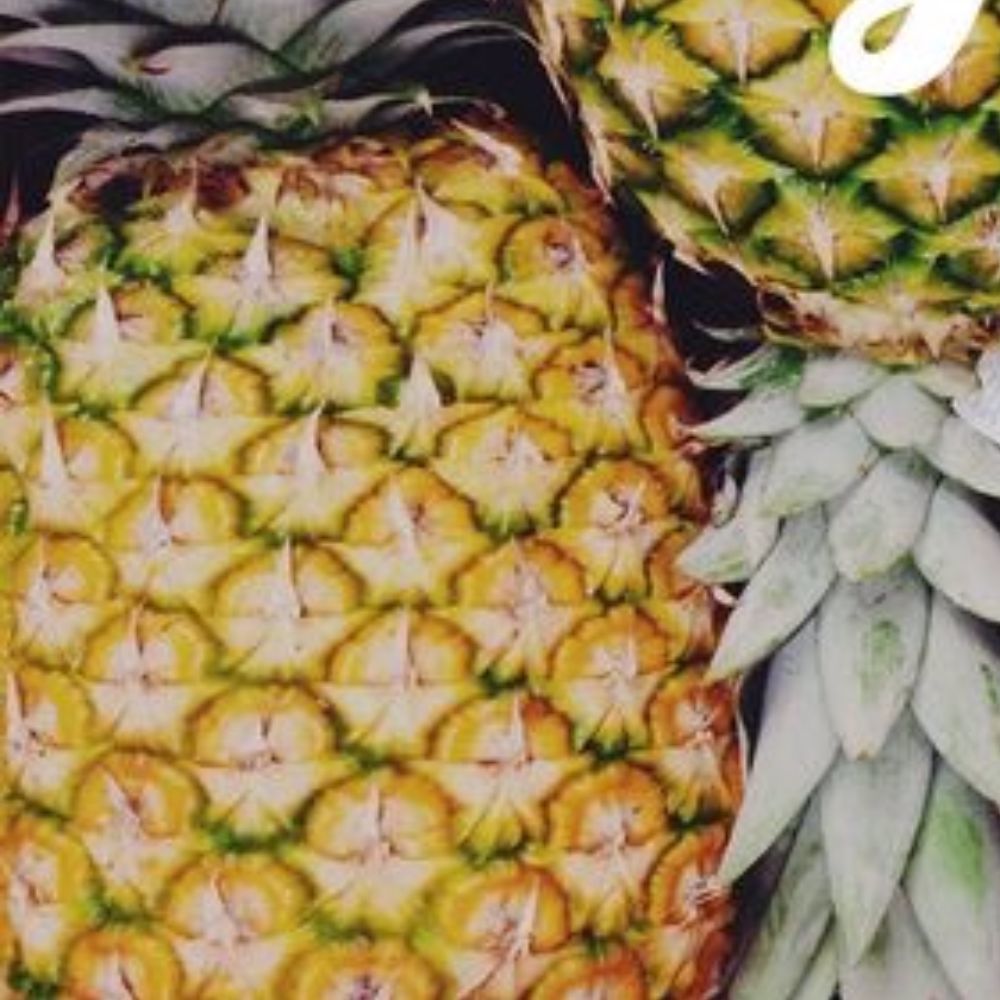 Meet your Posher, Shelby